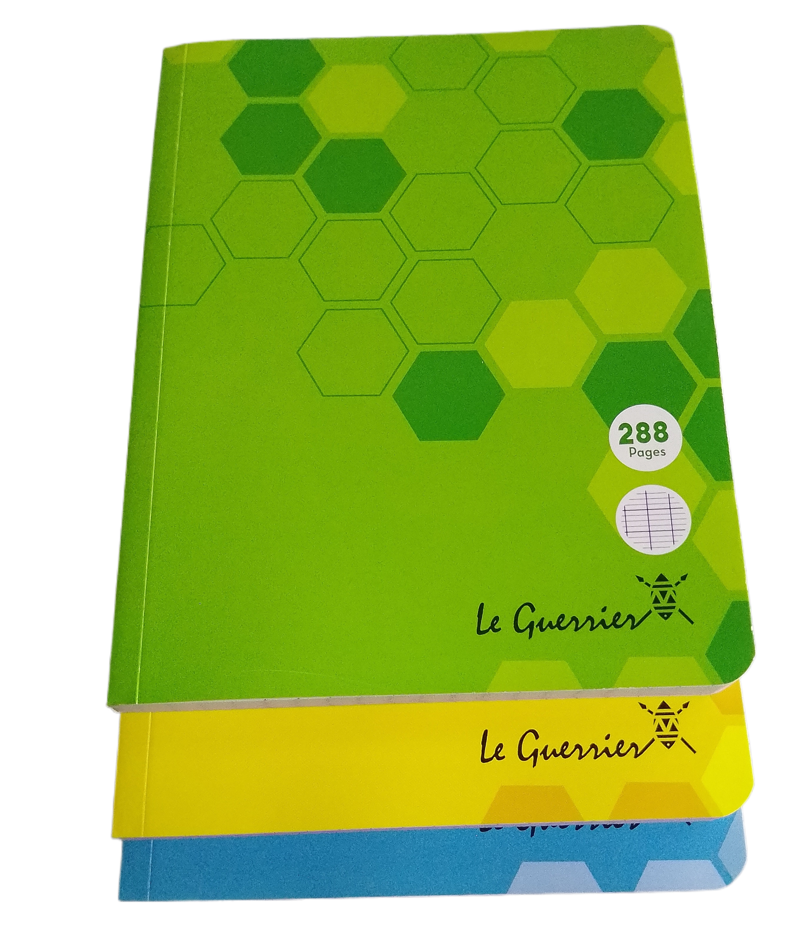 Cahiers d'écriture 300 P
